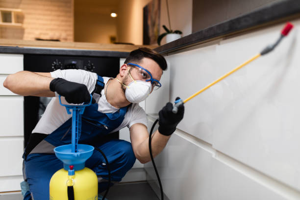 Best Best Pest Control Companies  in Manson, WA