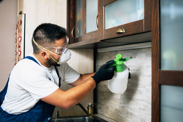 Best Ant Control Services  in Manson, WA