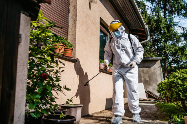 Bird Control in Manson, WA