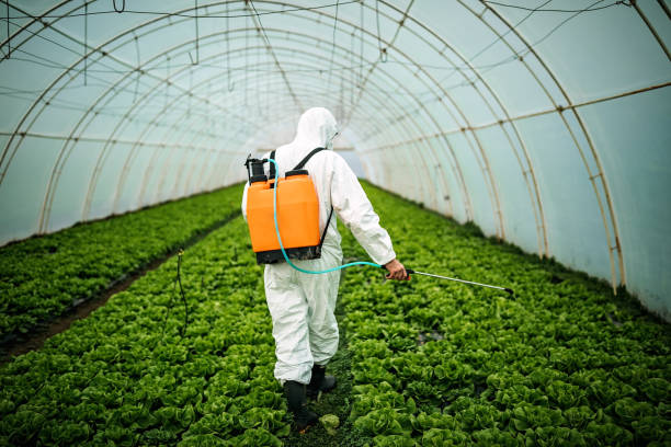Pest Control for Restaurants in Manson, WA