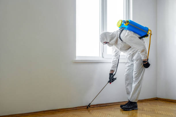 Best Rat Extermination Near Me  in Manson, WA