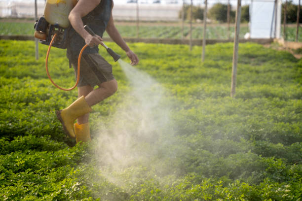 Best Pest Inspection Near Me  in Manson, WA