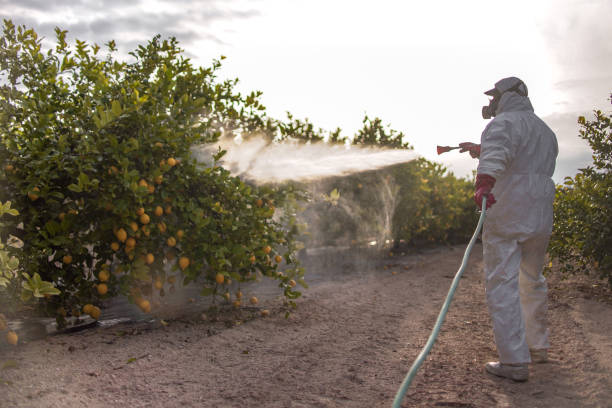 Best Rodent Control Near Me  in Manson, WA