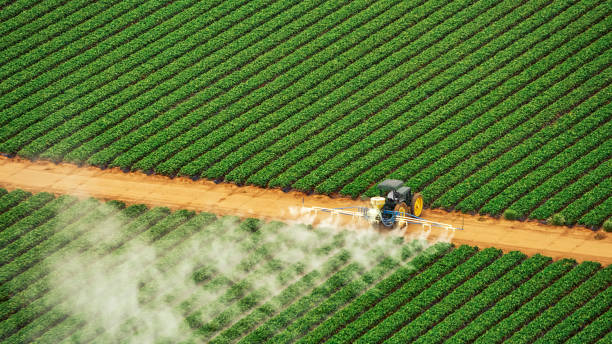 Best Pest Control for Businesses  in Manson, WA