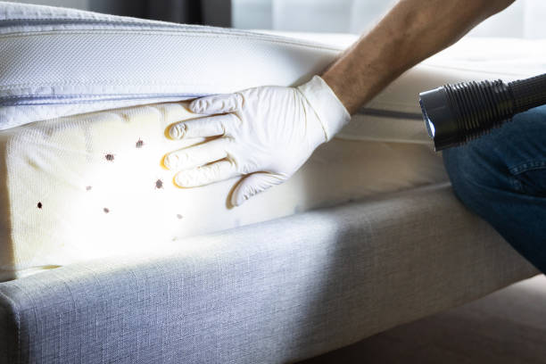 Best Commercial Pest Control Services  in Manson, WA