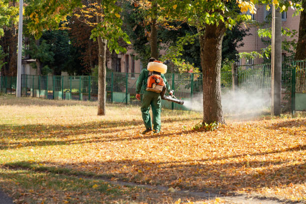 Best Pest Control Near Me  in Manson, WA